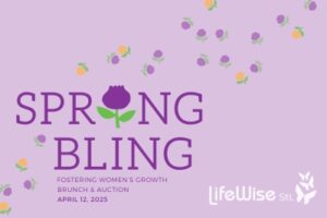 Spring bling homepage