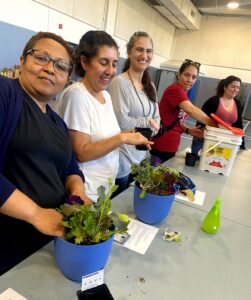 Emotional Wellness support group plants LifeWise StL program